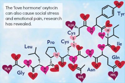 oxitocina dragoste