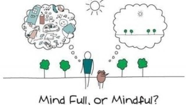 mindfulness-romania.jpg